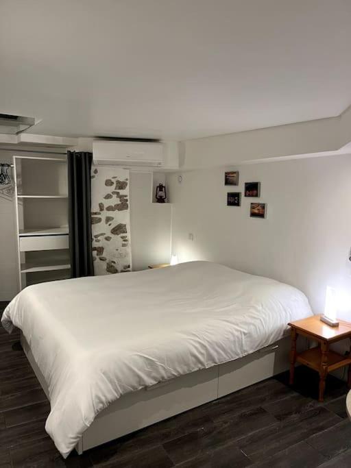 Appartement Climatise Albi - Centre Luaran gambar