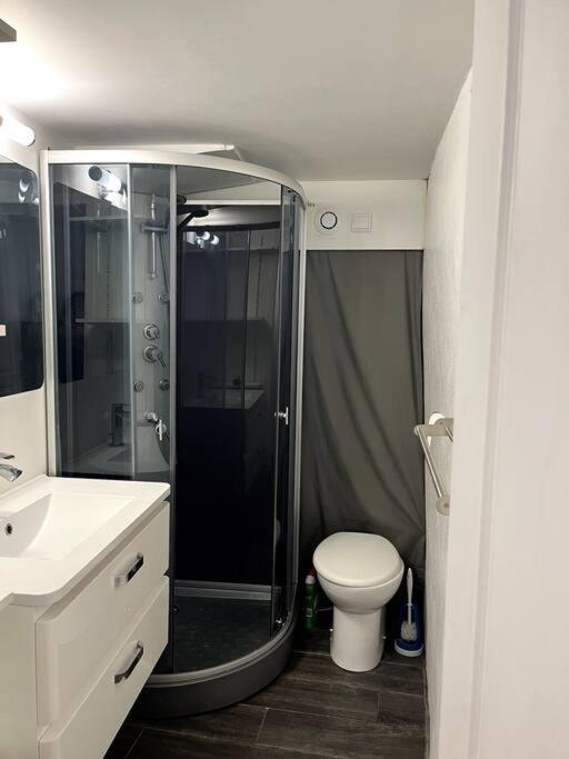 Appartement Climatise Albi - Centre Luaran gambar